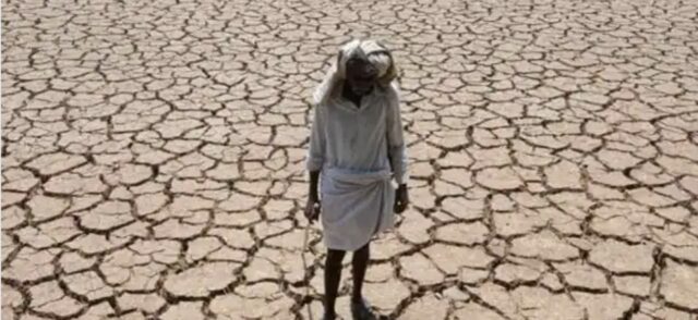 झारखंड के 16 जिले भीषण सूखे की चपेट में